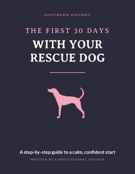 Cover of The First 30 Days With Your Rescue Dog